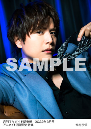 月刊TVガイド11周年で史上最大11人表紙！ 「野郎組」ジャニーズJr.が爆モテ男子に変身！＆バレンタイン特別企画ものサブ画像2