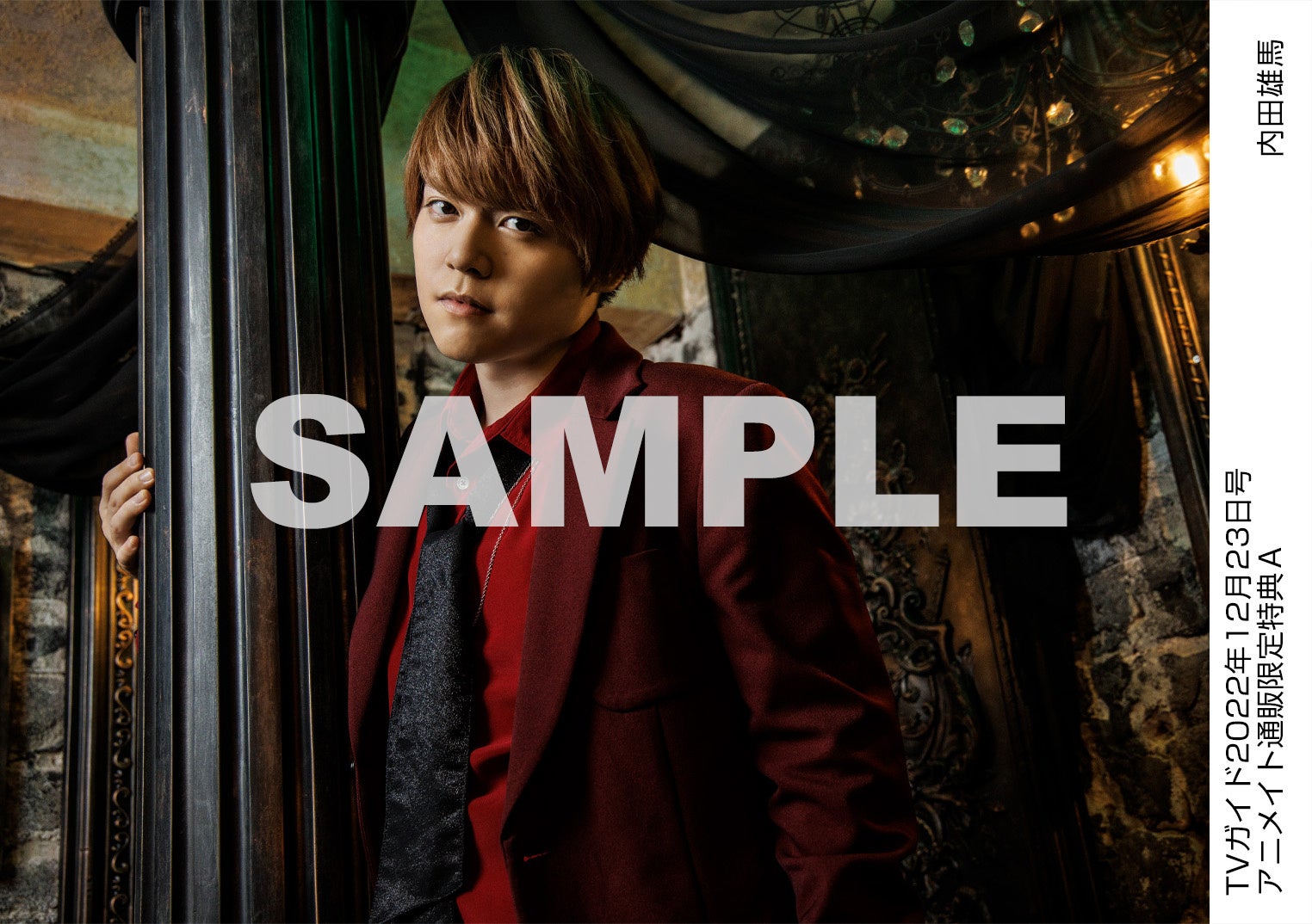 King & Princeが「TVガイドクリスマス特大号」でクリスマスパーティーを開催！ ジャニーズJr.のサンタクロース＆トナカイグラビアも!!のサブ画像2