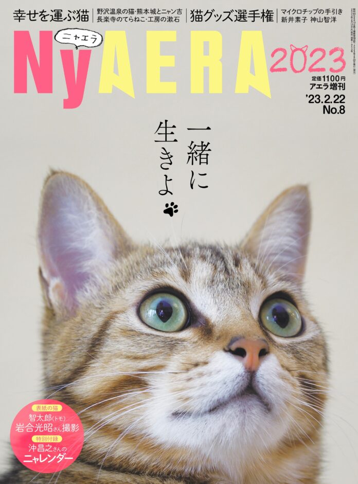 今年もやります全力で！ 「NyAERA2023」発売／表紙は岩合光昭さん撮影の智太郎／特集は「幸せを運ぶ猫」と「猫モテグッズ選手権」のメイン画像