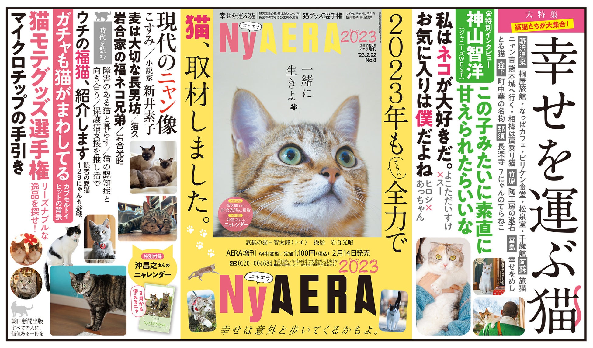 今年もやります全力で！ 「NyAERA2023」発売／表紙は岩合光昭さん撮影の智太郎／特集は「幸せを運ぶ猫」と「猫モテグッズ選手権」のサブ画像2