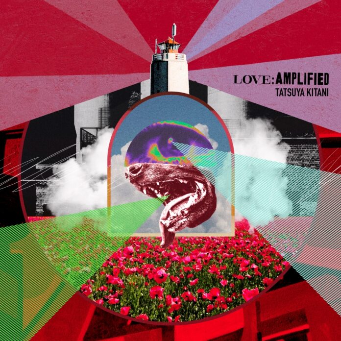 キタニタツヤ、豪華アーティストを迎えたコラボレーションEP「LOVE: AMPLIFIED」をサプライズリリース。のメイン画像