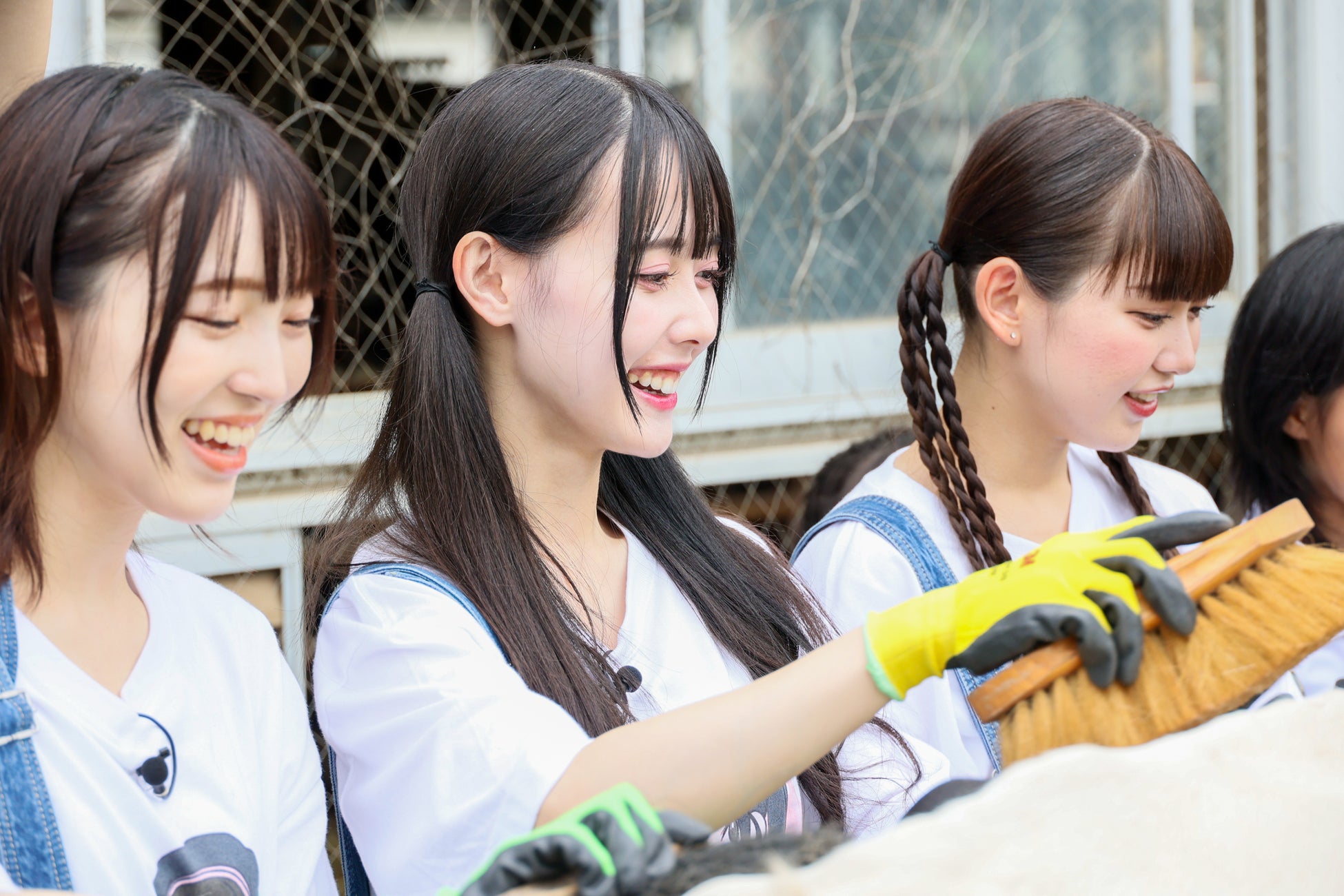 「高嶺のなでしこ」10月16日世界食料デーに、酪農応援プロジェクトアンバサダーに就任！HoneyWorks作詞・作曲、命の尊さや酪農家への感謝と応援の気持ちを歌った「いつか私がママになったら」を発表！のサブ画像5