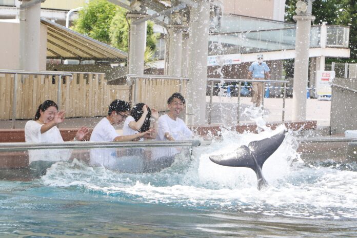 【横浜・八景島シーパラダイス】生きものが躍動する新たなLIVE 空間！ Animal Life Live！誕生 【２０２４年７月１０日（水）～】のメイン画像